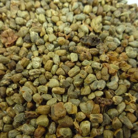 草豆蔻(500克)