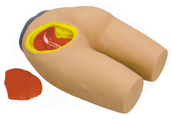 康人 高级臀部肌肉注射与解剖结构模型 KAR/T3