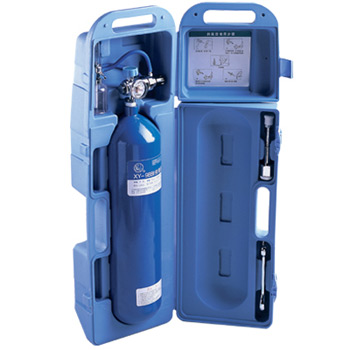 鱼跃供氧器 XY-98BI型（2升）