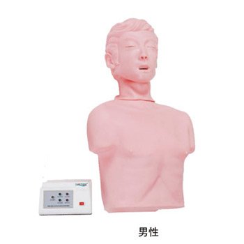 半身心肺复苏训练模拟人KAS/CPR170