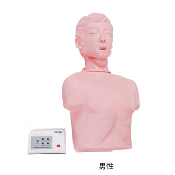 半身心肺复苏训练模拟人 KAS/CPR170