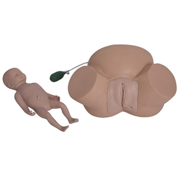 高级难产示教训练模型 KAR/8A