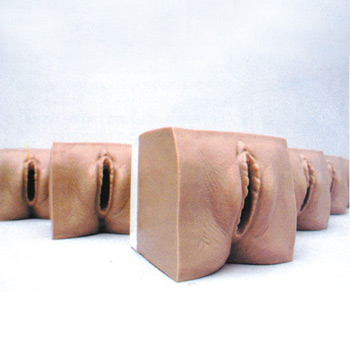 高级产前宫颈变化与产道关系模型 KAR/9A