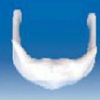 舌骨放大模型 KAR/11122