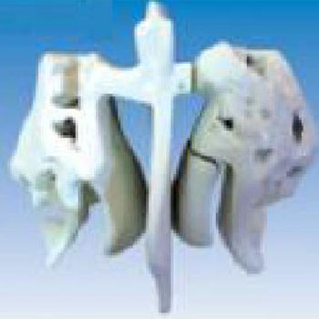 康人筛骨放大模型 KAR/11121