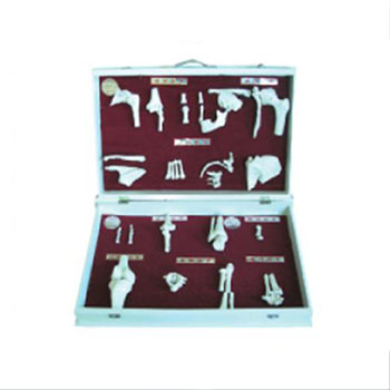 人体骨关节分类模型 KAR/11212