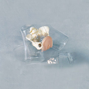 高级透明刮宫模型 KAR/T32