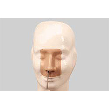 高级鼻腔出血模型 KAR/LV17