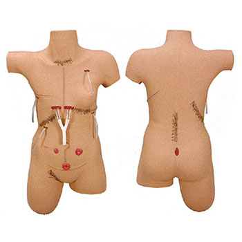 外科缝合包扎展示模型 KAR/LV18