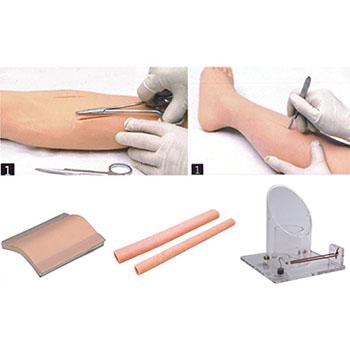 外科综合技能训练组合模型 KAR/LV10