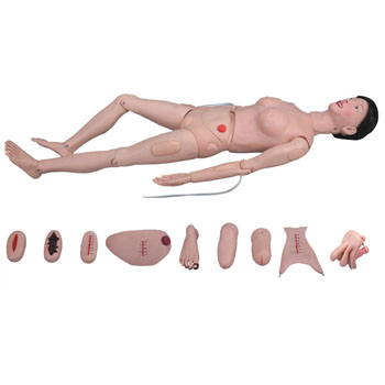 高级全功能护理人训练模型(女性) KAR/2200
