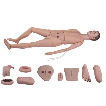 高级全功能护理人训练模型(男性) KAR/2100