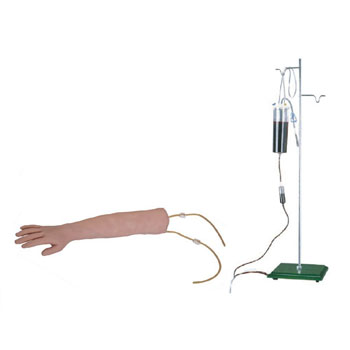 高级手臂静脉穿刺训练模型 KAR/S