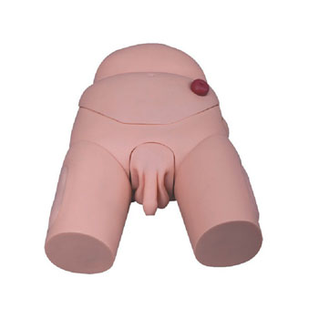 高级男性导尿模型 KAR/D3