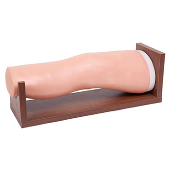 膝关节腔内注射模型 KAR/L72