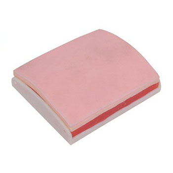 高级皮肤肌肉缝合练习模块 KAR/LV3A