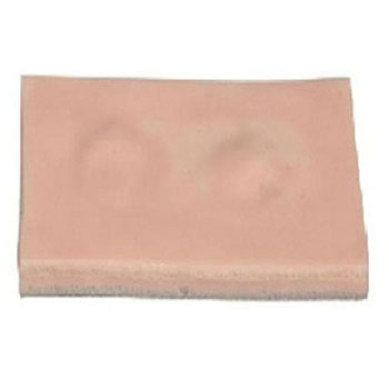 康人脂肪瘤切除术练习模块 KAR/LV5-2