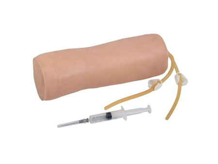 高级肘部静脉穿刺训练模型 KAR/S10