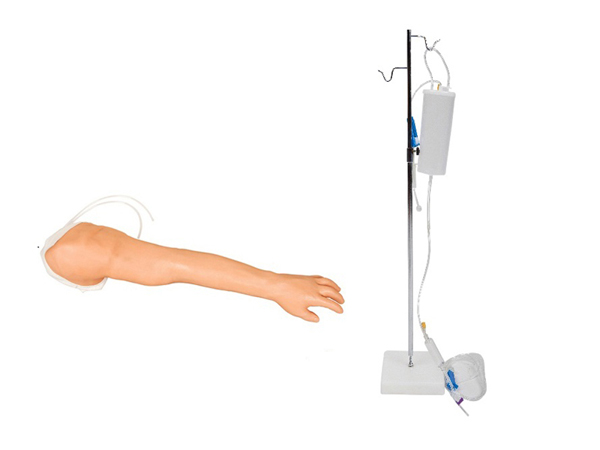 完整静脉穿刺手臂模型 KAR/S8
