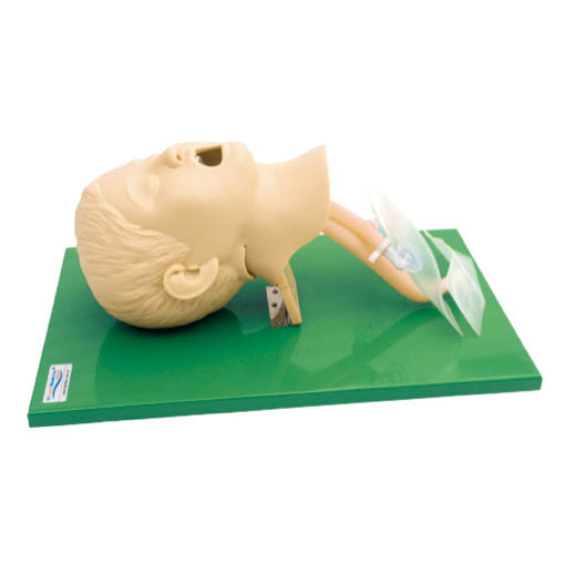 高级儿童气管插管模型 KAS-15-3