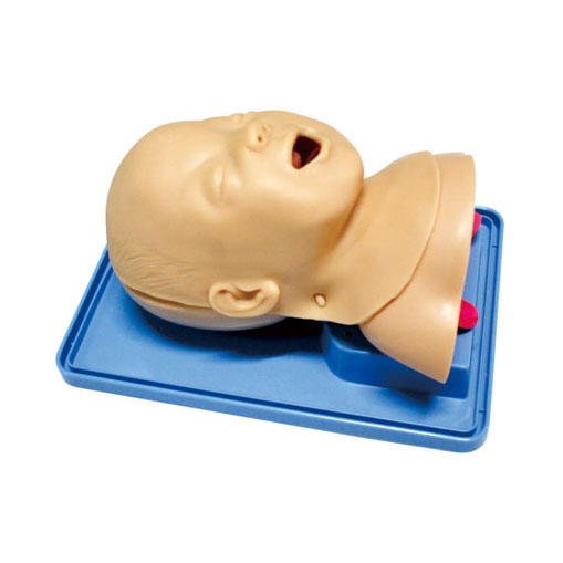 高级婴儿气管插管训练模型 KAS-15-2