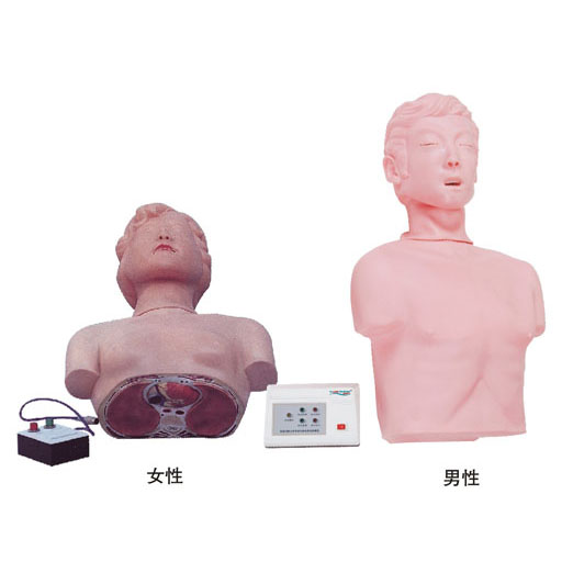 半身心肺复苏训练模拟人 KAS-CPR170