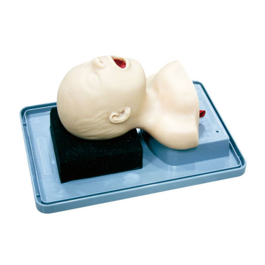 新生儿气管插管训练模型 KAS-15-1
