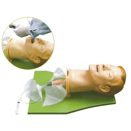 高级多功能气道管理模型 KAS-51