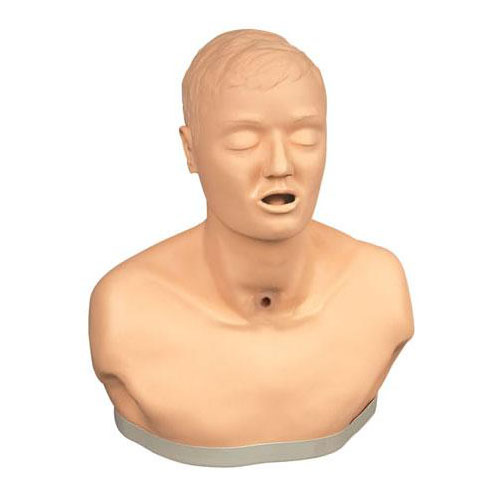 高级成人气管切开护理模型 KAS-H23