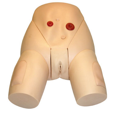 高级整体女性导尿模型 KAS-E2