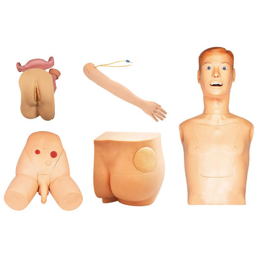 高级新型基础护理实习操作模型(七部件) KAS-27
