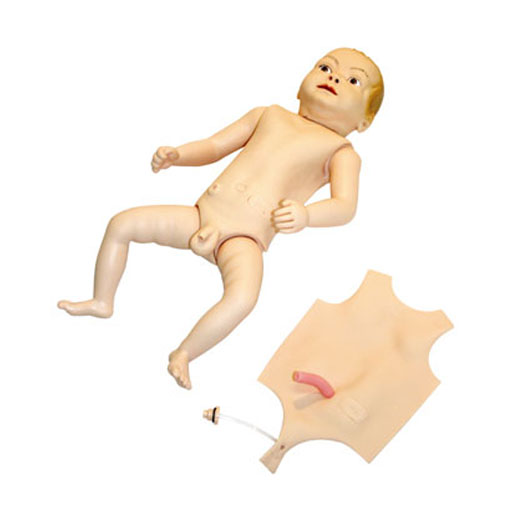 高级婴儿护理人模型 KAS-130
