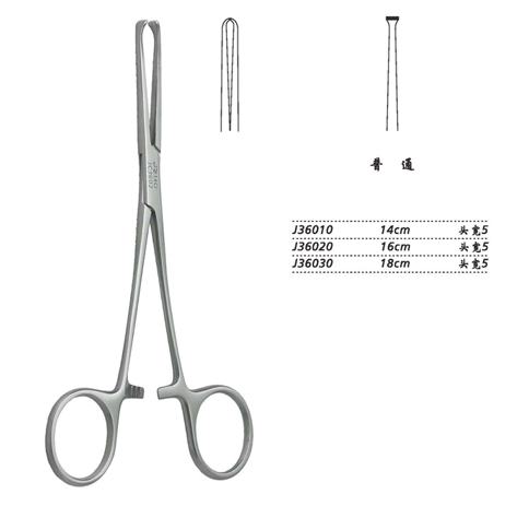 金钟组织钳 普通