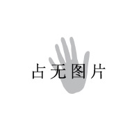 金钟显微持针钳直