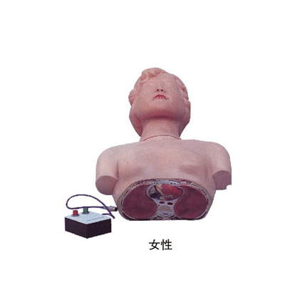 半身心肺复苏训练模拟人KAS/CPR170