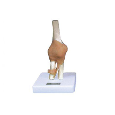  节功能模型KAR/11209-5