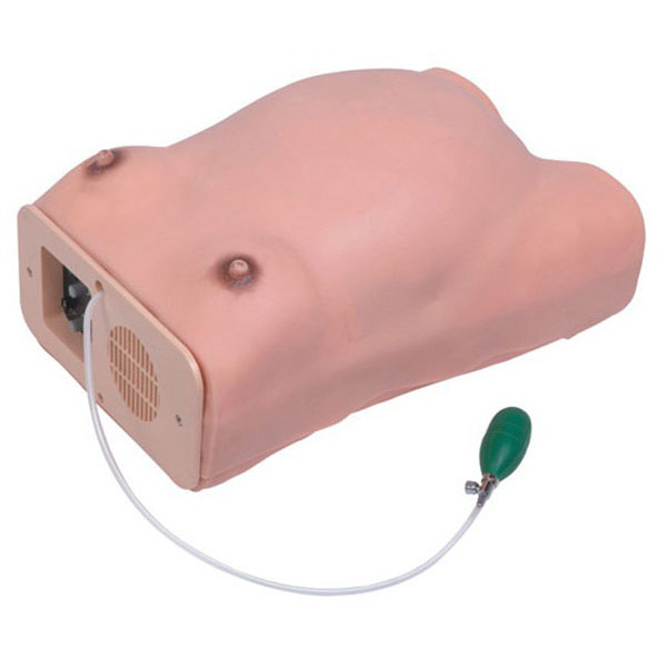  高级电脑孕妇检查模型KAR/W