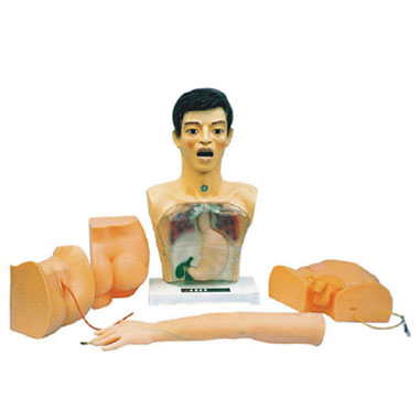  新型基础护理模型KAR/A