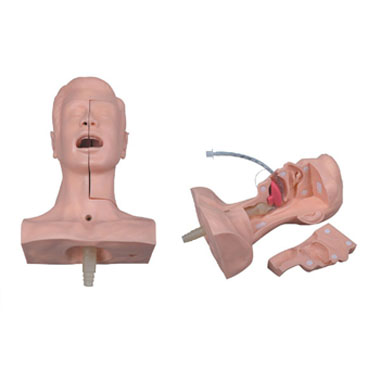  高级吸痰练习模型KAR/60