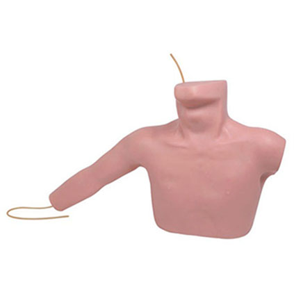 外周穿刺、中心静脉穿刺插管模型KAR/L67A