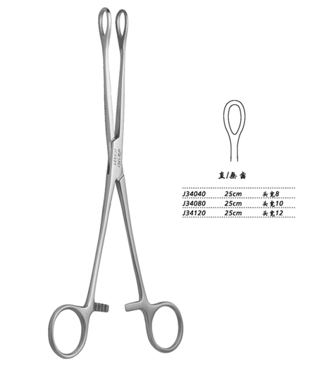 金钟海绵钳直无齿