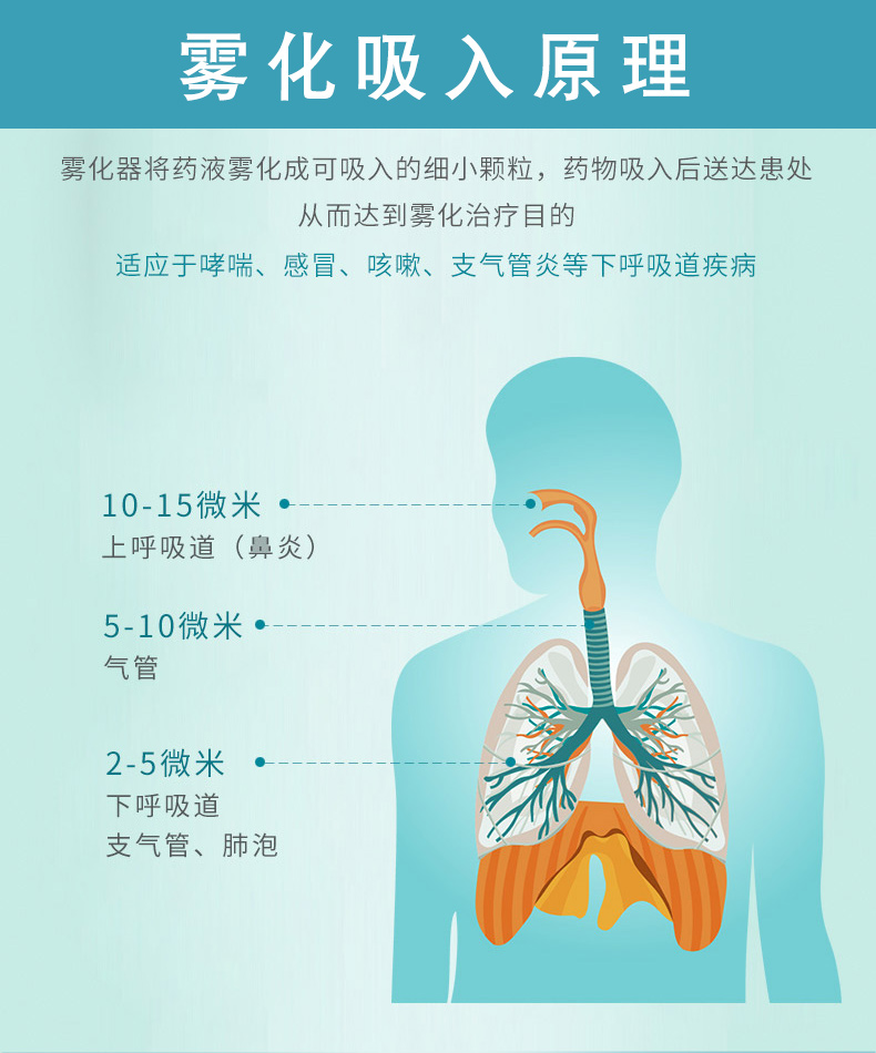 PARI 德国百瑞雾化器TurboBOY -P2（085G3255P2