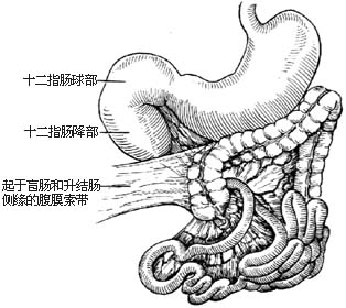 2006530205536449.jpg