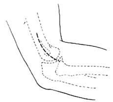 200653022759583.jpg