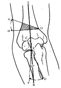200653022815700.jpg
